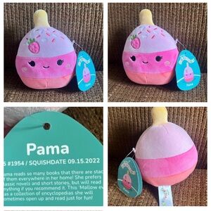 NWT VHTF 5” Pama the Cake Pop Squishmallows plush dessert food